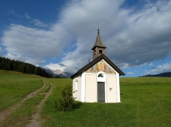 Randonnée A pied Maria Alm am Steinernen Meer - Maria Alm - Jufen - Photo