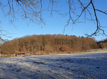 Percorso A piedi Ammersbek - Rund um Wulfsdorf und Hoisbüttel - Photo