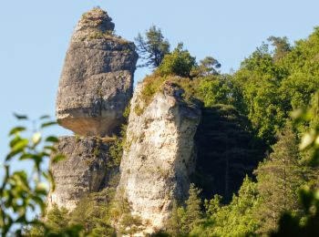 Randonnée Marche La Canourgue - Au-dessus de La Canourgue - Photo