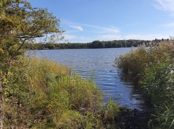 Trail Walking Lathus-Saint-Rémy - 17oct2021 - Photo