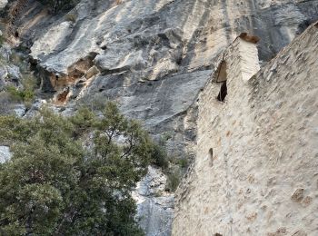 Trail Walking Puyloubier - Ste victoire  - Photo