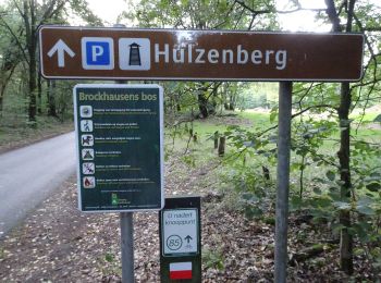 Trail On foot Montferland - Dwars door Gelderland (25) - Photo
