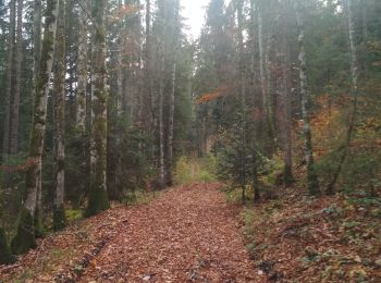 Tocht Stappen Remoray-Boujeons - vers la Baume et autour - Photo