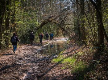 Randonnée Marche Charencey - Saint-Maurice-les-Charencey - Tourouvre 28 km - Photo