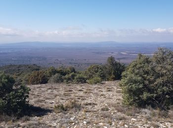 Percorso Mountainbike Moissac-Bellevue - [PAT] 2019_03_17 Rando Moissac-Bellevue - Photo