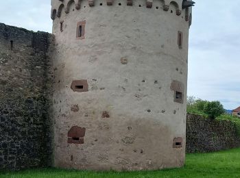 Randonnée Marche Bergheim - Berghien  - Photo