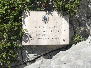 Excursión Senderismo Corrençon-en-Vercors - Rocher de la Balme-cabane de Goupette - Photo