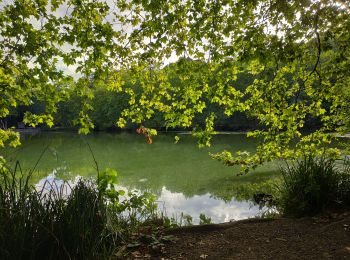 Excursión Senderismo Clamart - Tour des etangs - Bois de Clamart et de Meudon - Photo