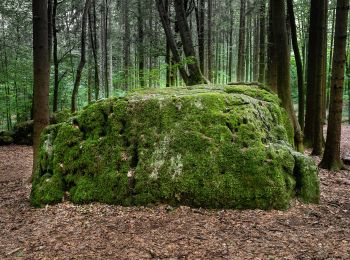 Trail On foot Wiesenttal - Rundwanderweg Birkenreuth-Wohlmannsgesees-Kanndorf - Photo