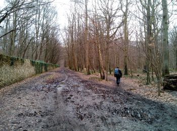 Tour Wandern Clamart - Meudon la forêt - Photo