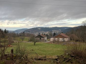 Tocht Stappen Le Tholy - Sentier de la Roche Au Blaireau depuis le gîte  - Photo