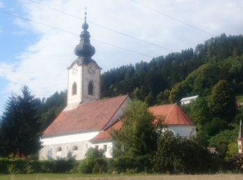 Excursión A pie Dravograd - Dravograjska pot - Photo