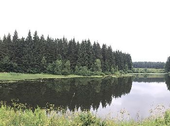 Tocht Te voet Clausthal-Zellerfeld - Prinzen / Flambacher Teiche - Photo