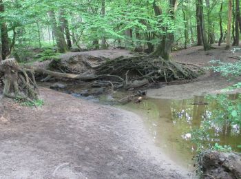 Percorso A piedi Dinslaken - Schwarzbach Rundweg A1 - Photo