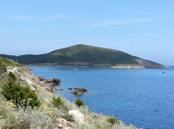 Randonnée Marche Rogliano - Macinaggio - Sentier des Douaniers jusqu'à la Baie de Capandola - 16.7km 275m 4h15 - 2013 06 04 - Photo