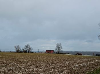 Tocht Stappen Voeren - Veurbos - Roodbos - Photo