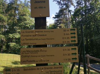 Tocht Stappen Annecy - ANNECY ... le sentier des crêtes. - Photo