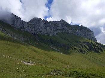 Randonnée Marche La Chapelle-d'Abondance - lac Badon depuis Bises - Photo