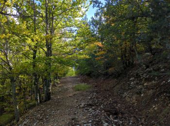 Trail Walking Sault - Verdolier-Frâche - Photo