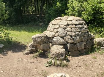 Randonnée Marche Peyruis - ganagobie auges 683m 21kms - Photo