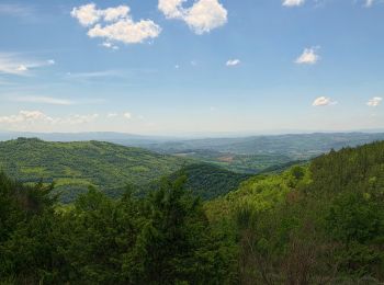 Excursión A pie Gubbio - Colcelli - Ventia - Molino - Galgata - Photo