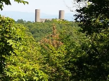 Randonnée Marche Mittelbergheim - BARR - LES 3 CHATEAUX (LANDSBERG- SPESBOURG -ANDLAU) - Photo