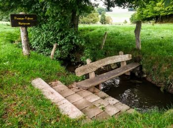 Percorso A piedi Berkatal - Premiumweg P2 Frankershäuser Karst - Photo