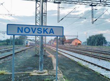 Excursión A pie Novska - Novska - Novsko brdo (sjeverni put) - Photo