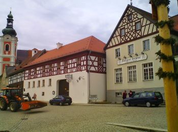 Randonnée A pied Neualbenreuth - Ringelfelsen-Weg - Photo