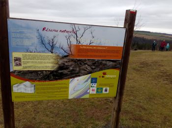 Randonnée Marche Durbuy - Sur les dessus de Bomal - Photo