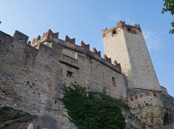 Tocht Te voet Malcesine - Cassone - San Maggiore innesto panoramica Malcesine - Photo