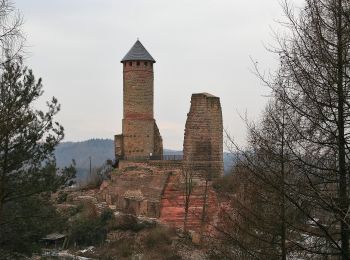 Tour Zu Fuß Kirkel - Kirkeler Felsenpfad - Photo