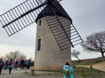 Randonnée Marche Santenay - Santenay Le Moulin de Santenay page 165 - Photo