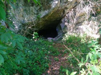 Tour Wandern Val-Revermont - montmerle Treffort Meillonnas - Photo
