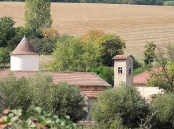 Randonnée A pied Sainte-Geneviève - Boucle de la Colline - Photo