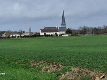 Tour Wandern Ouzouer-sur-Trézée - ouzouer-sur-Treze 45 avec Coco  - Photo