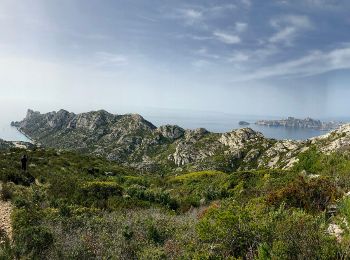 Trail On foot Marseille - FR-4 - Photo