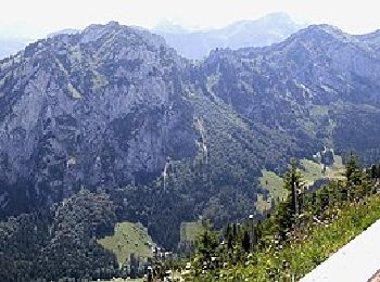 Trail On foot Glarus Nord - Hirzli-Rundweg - Photo