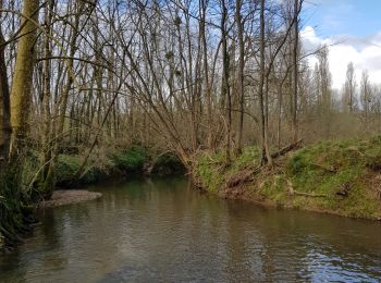 Tour Auto Saint-Palais - atelier 4 - Photo