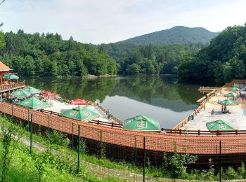 Tocht Te voet Sovata - Sovata (Centru) - Valea Sebeșului - Vf. Saca Mare - Photo