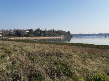 Excursión Senderismo Le Minihic-sur-Rance - Chemin des landriers - Photo