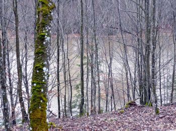 Tocht Te voet Ammerbuch - Brentenhauweg - Photo