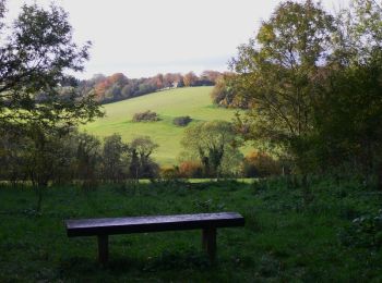 Percorso A piedi Mole Valley - Prospects of Polesden (SCC) - Photo