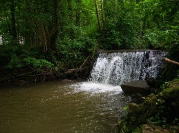 Randonnée Marche Frocourt - Frocourt - Arboretum - Photo