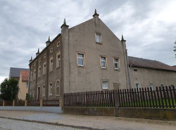 Trail On foot Ebersbach - Gelber Strich 