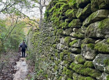 Excursión sport Uzès - Uzès 27/11/24 - Photo