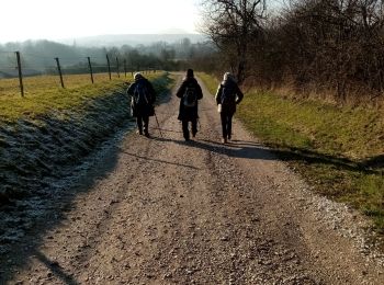 Excursión Senderismo Frahier-et-Chatebier - frahier - Photo