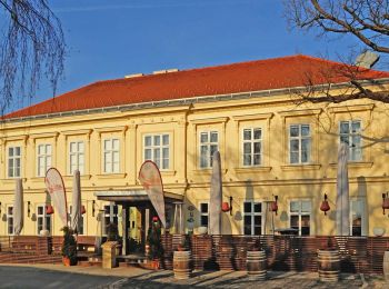 Excursión A pie Gemeinde Göttlesbrunn-Arbesthal - Via Vinum (Rundwanderweg Göttlesbrunn - Arbesthal) - Photo