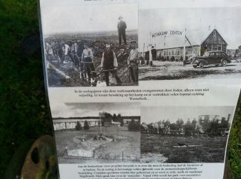 Trail On foot De Wolden - Rondwandeling wit - Photo