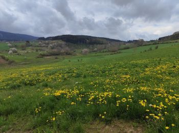 Tour Wandern Chausseterre - Randonnée au dessus de Chausseterre en passant par le col de St Thomas  - Photo